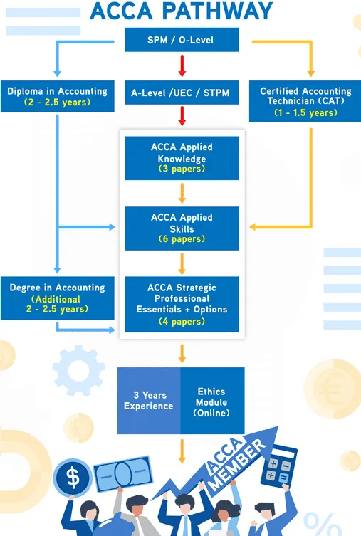 acca pathway