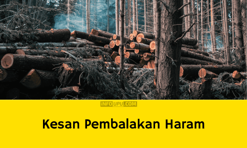 Contoh Karangan Kesan Pembalakan Haram Terhadap Negara Kita