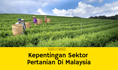 Contoh Karangan Kepentingan Pertanian di Malaysia