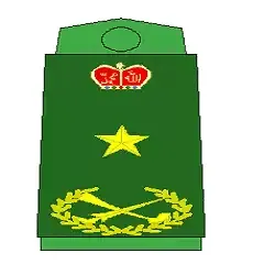 brig jeneral