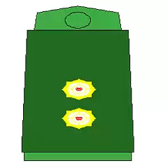 leftenan pangkat tentera